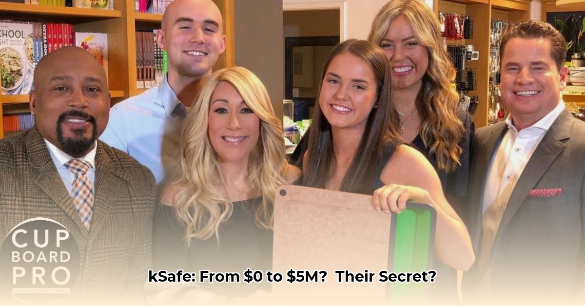 kitchen-safe-net-worth